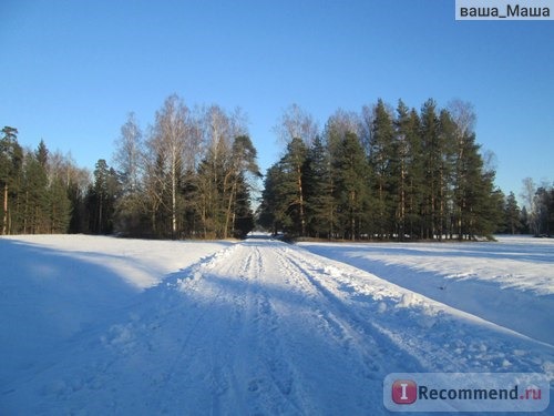 Россия, Павловский парк фото