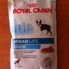 Корм для собак Royal Canin Urban Life Junior Wet фото