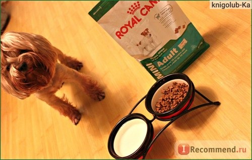 Royal canin Mini Adult фото