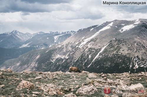 Национальный Парк Скалистые горы, Колорадо, США / Rocky Mountain National Park, Colorado, USA фото