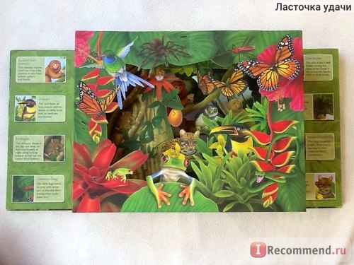 Rainforest 3D Wild ( книга для детей 