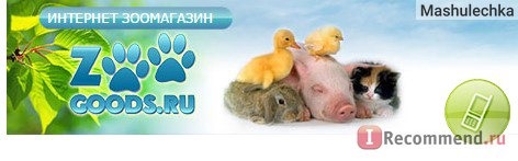 Сайт Zoogoods.ru Интернет-зоомагазин фото