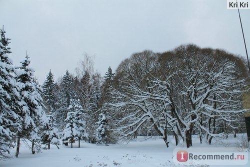 Пансионат 