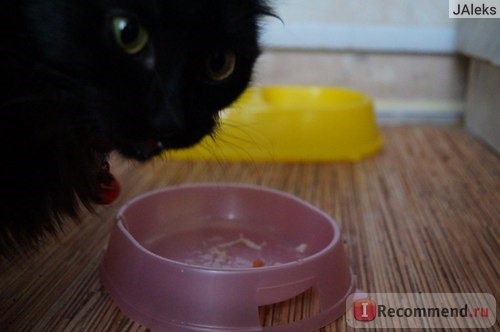 Gimpet Shiny Cat пауч для кошек Цыпленок/Утка в соусе фото
