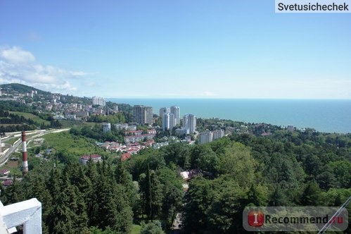 Вид со смотровой площадки в Дендрариуме