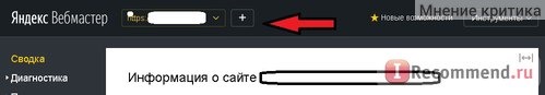 кнопка добавления сайта в вебмастер