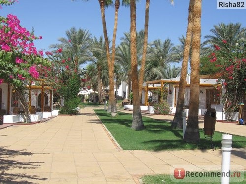 Dessole Seti Sharm Resort 4*, Египет, Шарм-эль-Шейх фото