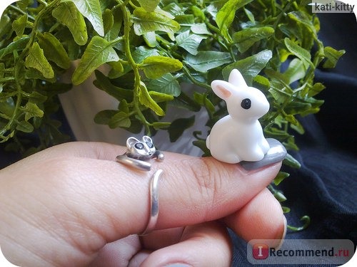 Декоративные фигурки Aliexpress Fuuny Mini Rabbit 2pcs Figurine Fairy Garden Dollhouse Plant Ornament Decor фото